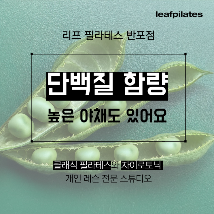  [원베일리 필라테스] 단백질 함량 높은 야채도 있어요/ 반포필라테스 리프