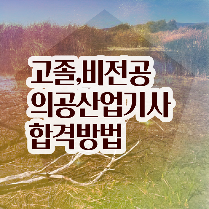  의공산업기사 자격 요건 의공산업기사 취득자격 온라인 수업으로 간단하게 끝낸 팁