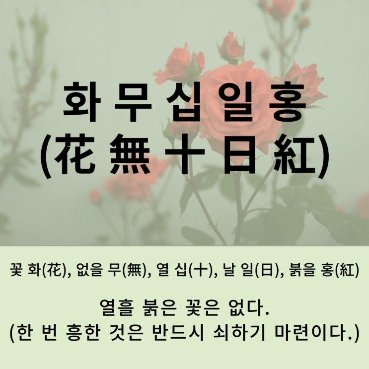  고사성어 뒤집어 보기 (65. 화무십일홍)