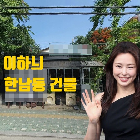  이하늬 한남동 건물과 탈세 논란