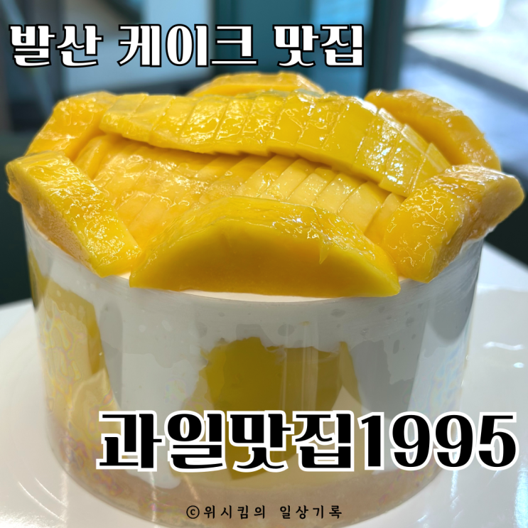  발산 망고 케이크 맛집 과일1995 재구매했어요