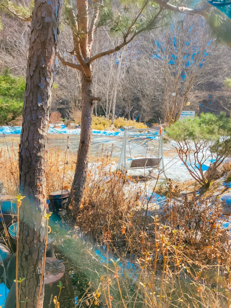  양평 가족펜션 추천 독채 단체펜션 계곡 근처 숙소 레드클로버