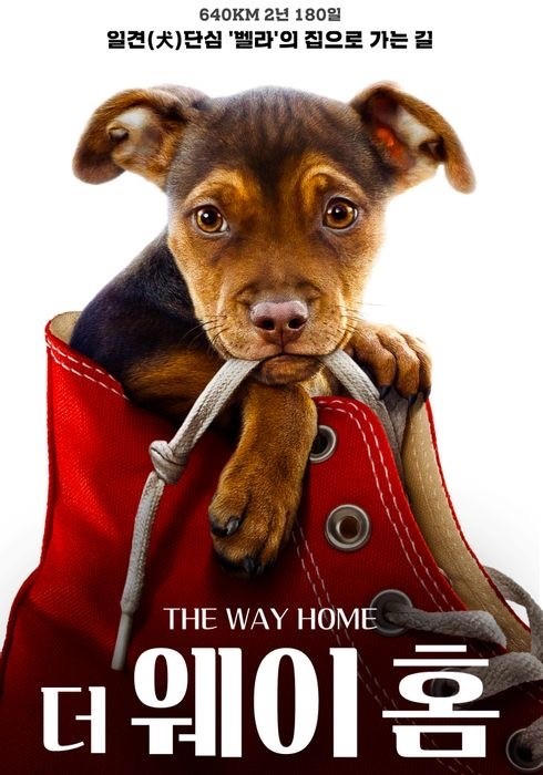  넷플릭스 최신작 영화 <더 웨이 홈> A Dog's Way Home 2025년 / 정보 출연진 평점 줄거리 결말 리뷰