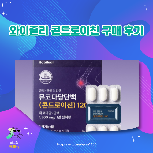  와이즐리 콘드로이친 구매 후기
