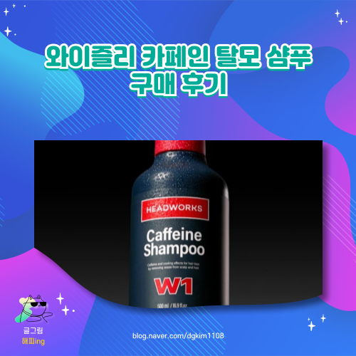  와이즐리 카페인 탈모 샴푸 구매 후기