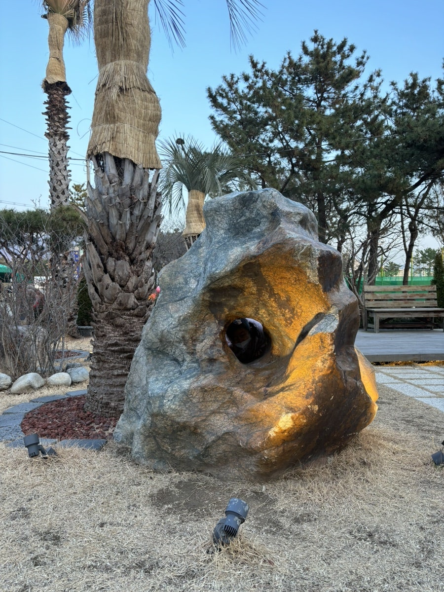 류참치 사진 5
