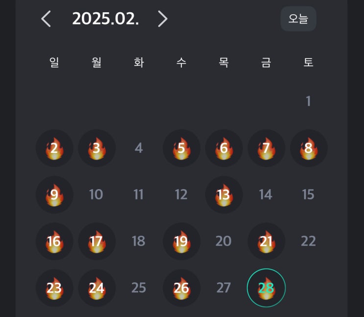  [운동일기] 71. 디클라인 (가슴)