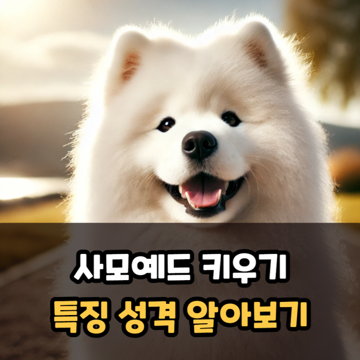  사모예드 키우기 가정분양 전 특징 성격 알아보기