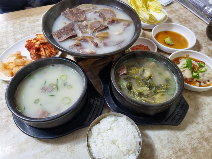  대전역근처맛집 선화동소머리해장국 실비김치 먹다 기절한 이야기