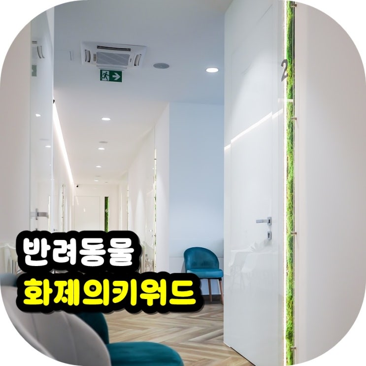 동반 해외여행 급증, 동물병원비 공시제, <b>푸바오 건강 이상설</b>