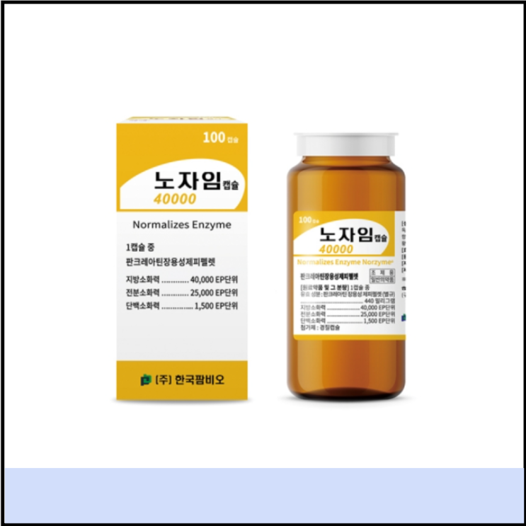  소화효소제 노자임 캡슐 성분 가격 효능 (판크레아틴 소화제)