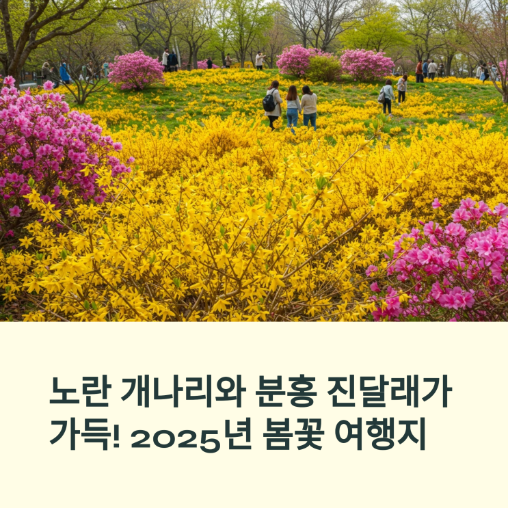  노란 개나리와 분홍 진달래가 가득! 2025년 봄꽃 여행지 모음