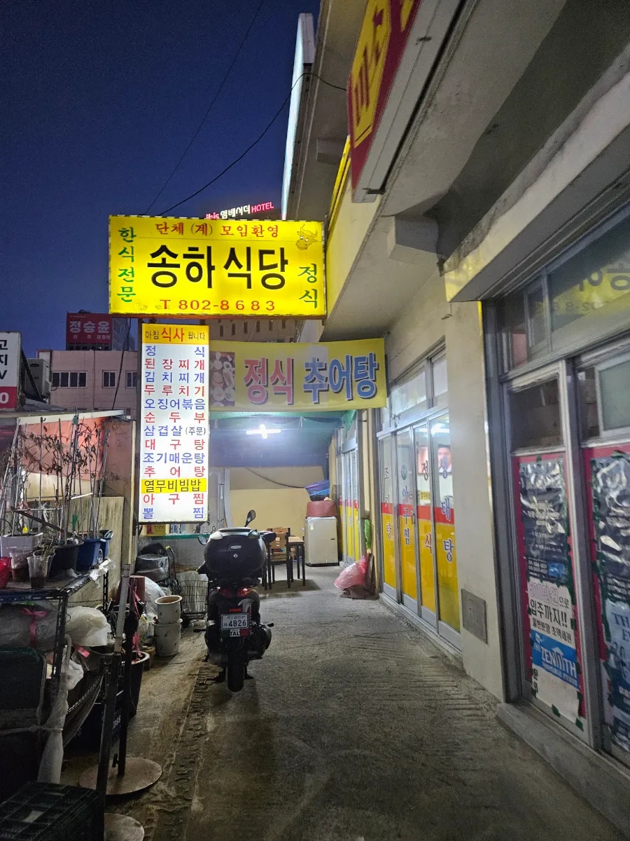 송하 사진 1