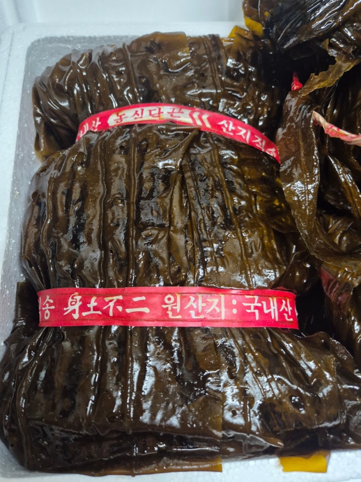  곰피 짱아지 만들기