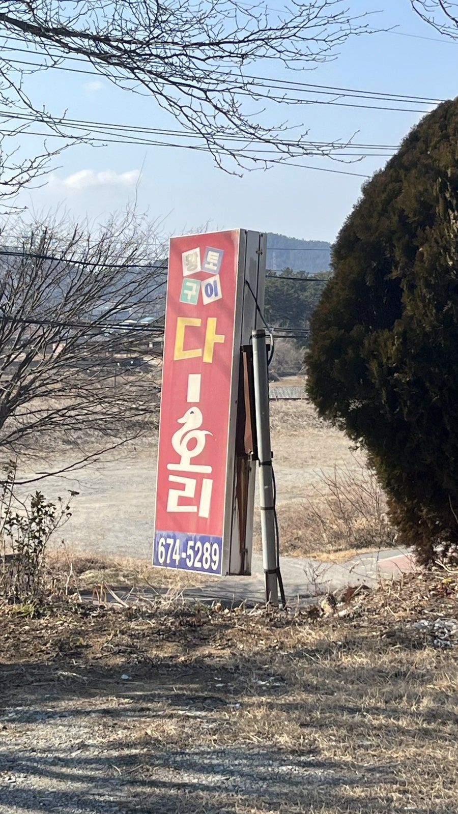 다오리 사진 2