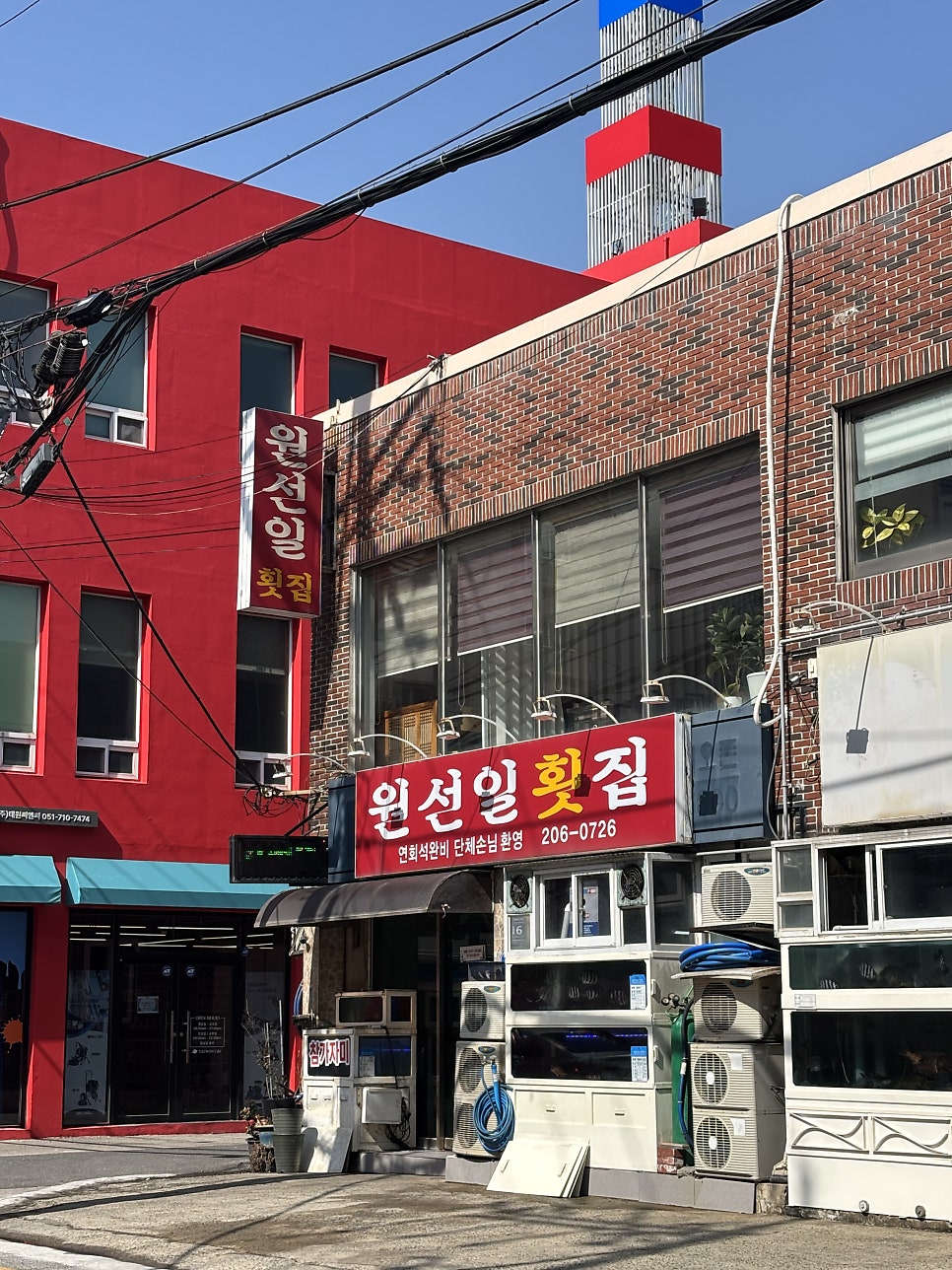 원선일횟집 사진 5