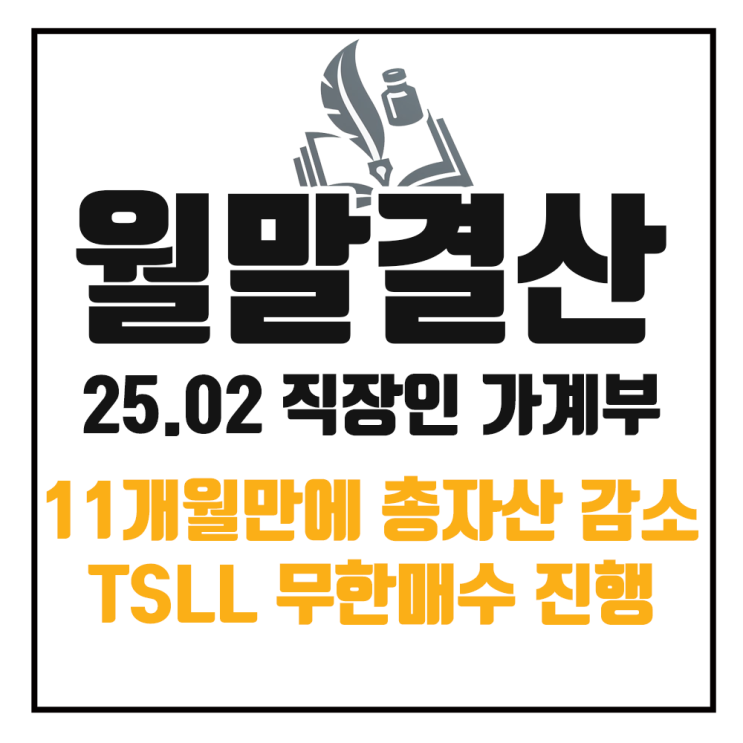  25년 2월 가계부 정리 : TSLL 무한매수 11개월 만의 총자산 하락