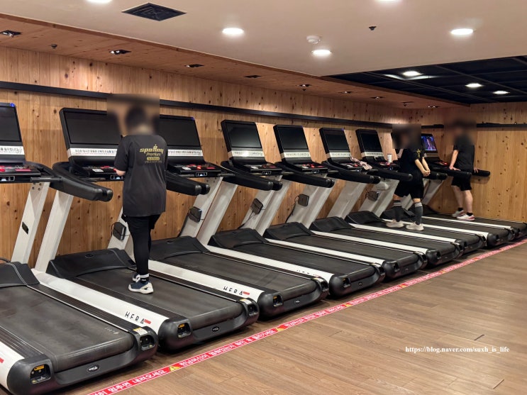  응암역헬스 초보자용 기구 24시간 골프 필라테스 등 GX 스포애니 프로 가격 응암역