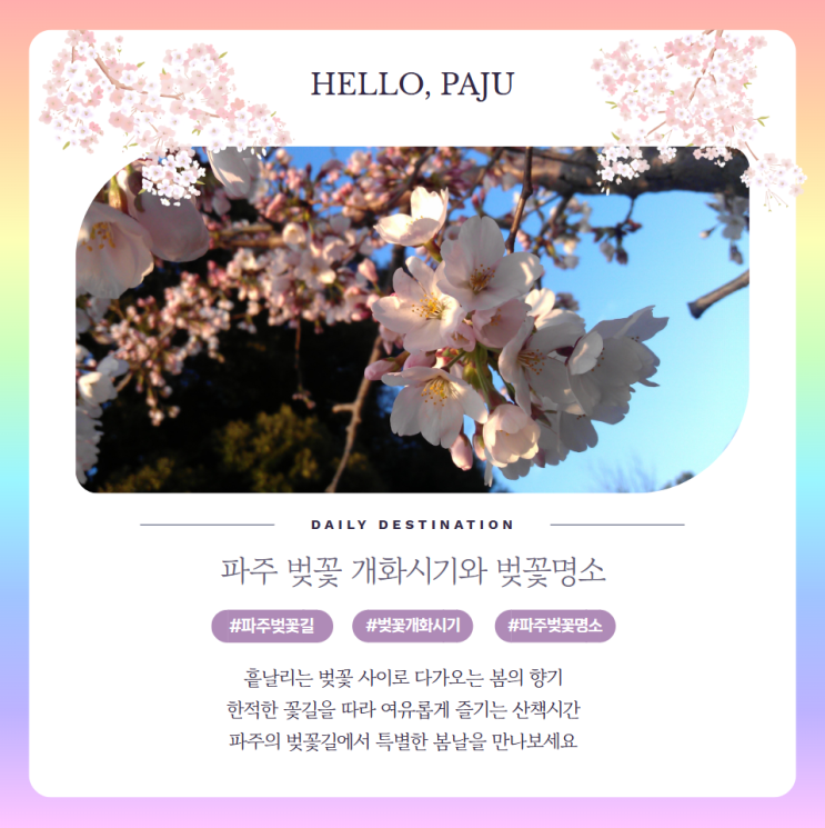  2025 파주 벚꽃 개화시기, 벚꽃명소 주차 축제행사 정보