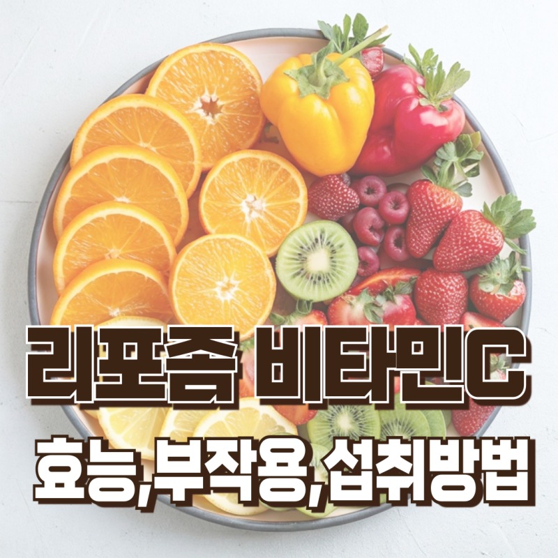 리포좀 비타민C1000 효능과 부작용, 올바른 섭취방법