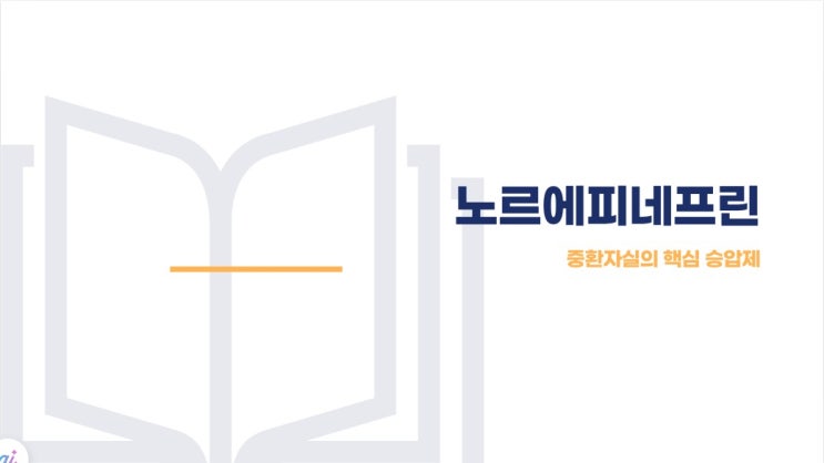  노르에피네프린(Norepinephrine), 큐프린, 노르핀주의 최신논문근거를 기반한 투약에 대해 알아봐요~