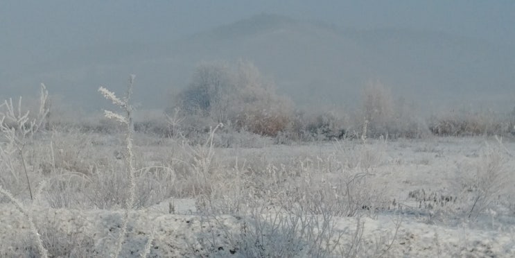  부동산 다운계약서 과태료 및 처벌, 가산세[부동산거래신고법,세법,공인중개사]