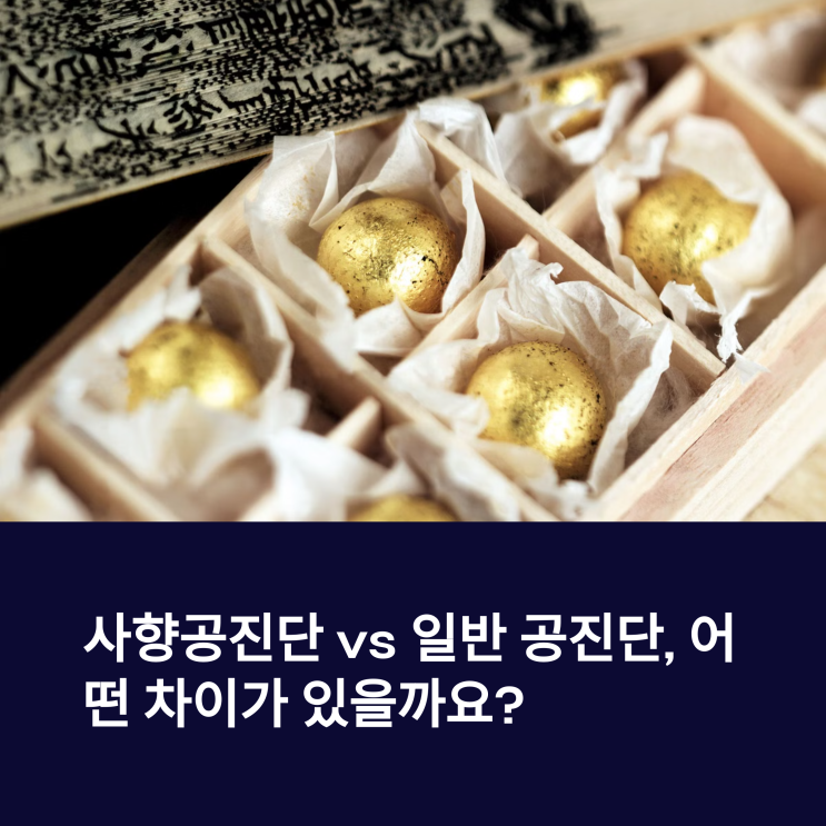  사향공진단 vs 일반 공진단 차이점 & 나에게 맞는 선택은?