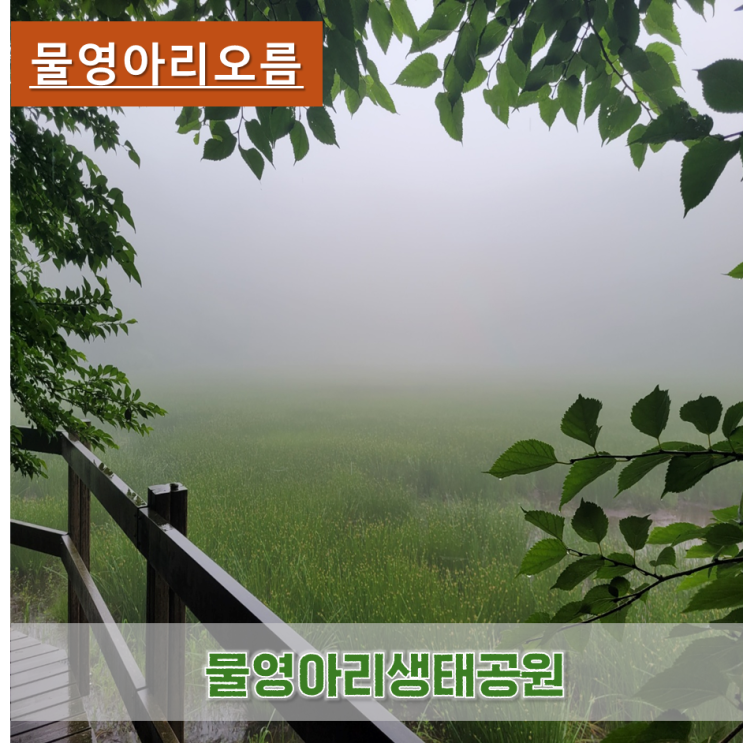 《제주오름》 물영아리오름 비오는날오름 물영아리생태공원