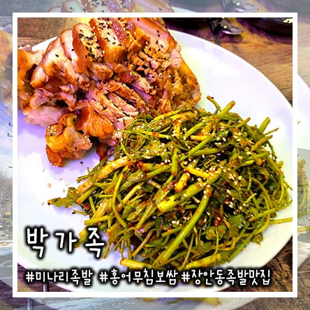  동대문구 장안동 족발 맛집 미나리 무침  홍어무침 보쌈 박가족