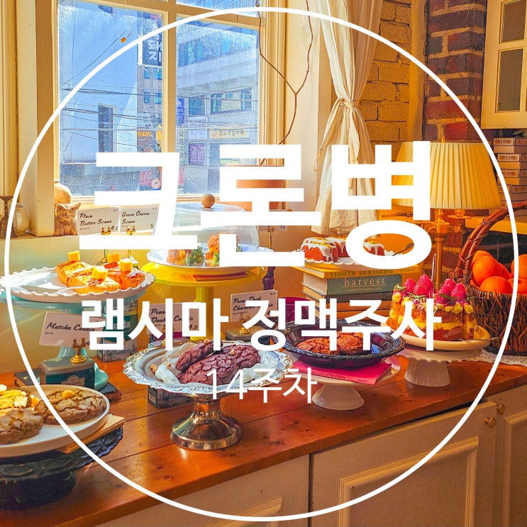  [크론병] #16 생물학적 제제 램시마 정맥주사 14주 차 / 드디어 8주 주기로 / 호흡기내과 결핵 검사