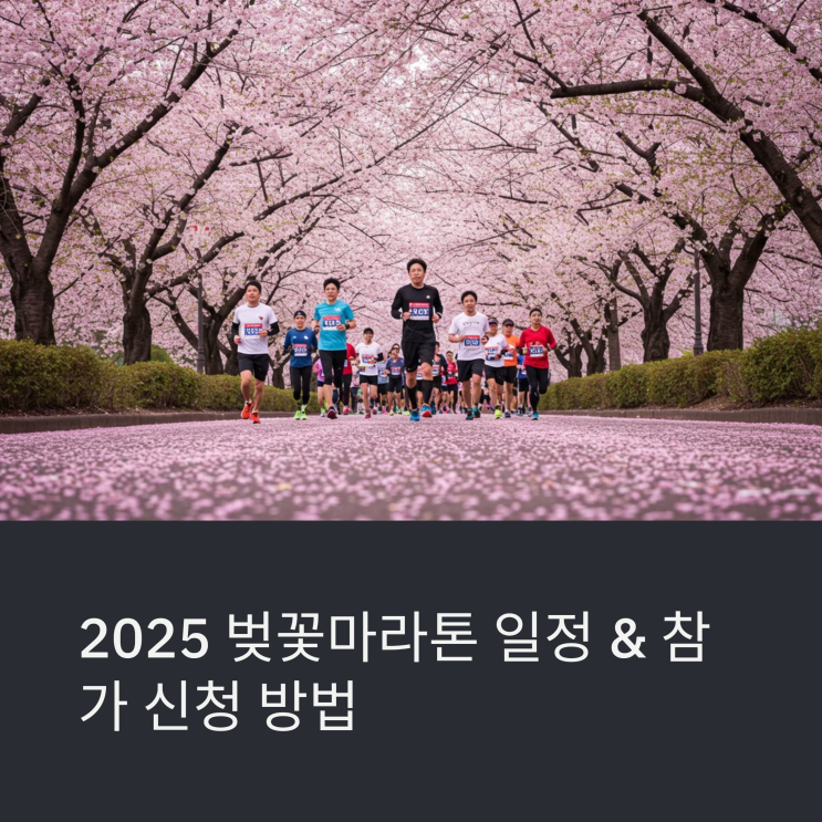  2025 벚꽃마라톤 일정 & 참가 신청 방법 전국 대회 총정리