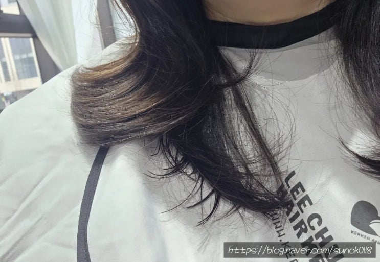  일산 미용실 이철헤어커커 일산역 유인 디자이너 빌드펌