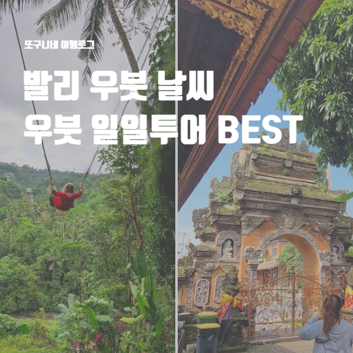  발리 우붓 날씨 & 우붓 여행 일일 투어 액티비티 예약 BEST
