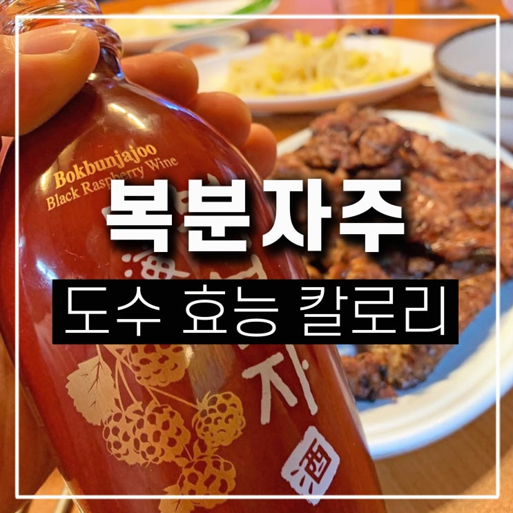  보해 복분자주 도수 효능 술 안주 칼로리 복사주 하이볼 사이다 비율