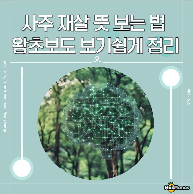  사주 재살 뜻 보는 법 1개 2개 3개일때 왕초보도 보기쉽게 정리