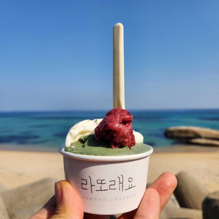  폭식일지와 다이어트일지 그 사이 어딘가
