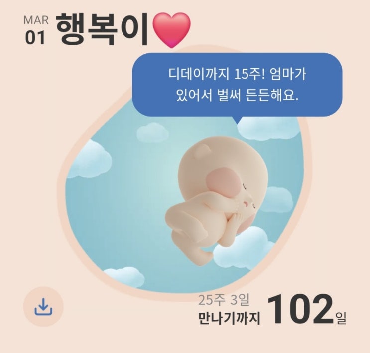  임산부 기형아 1차,2차 12주차/16주차 목덜미,투명대