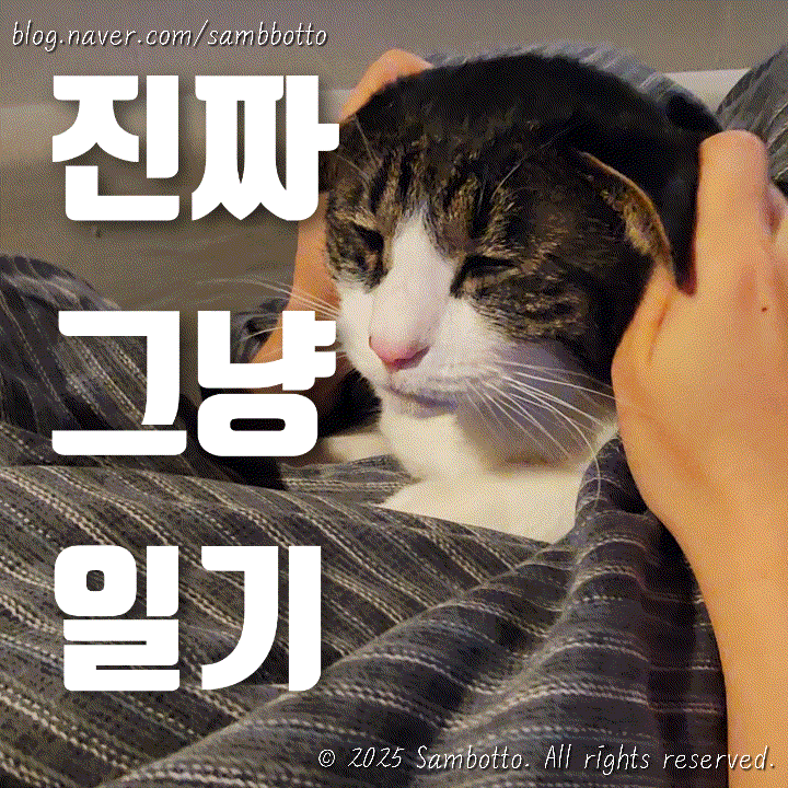  진짜 그냥 일기 | 미뤄뒀던 근황 정리, 이사준비 등등
