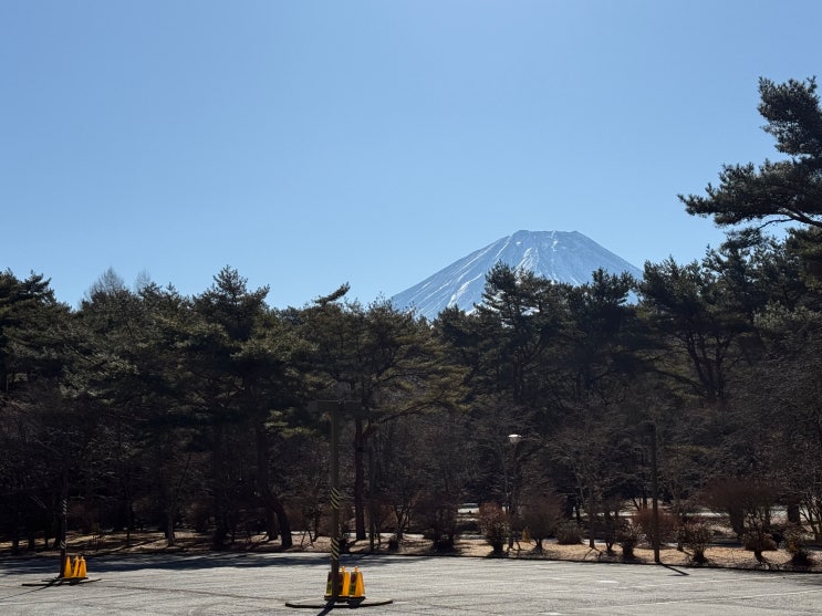  야마나시현 일본호텔 후지산 보이는 숙소, 모토스 피닉스 호텔