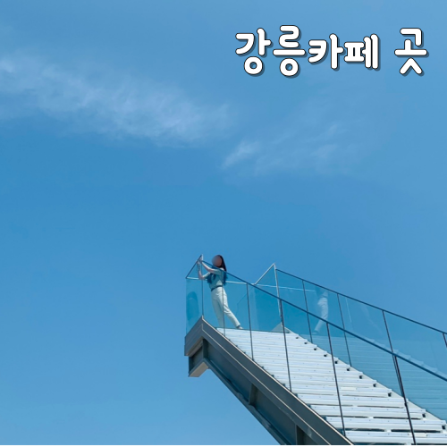  강릉카페 곳 주차, 애견동반, 가격 후기