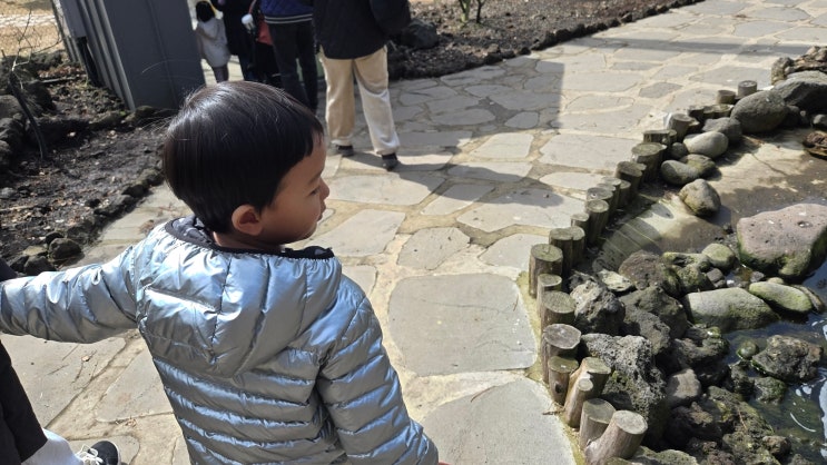  3살아이반찬 영양가득한 식탁 꾸미기