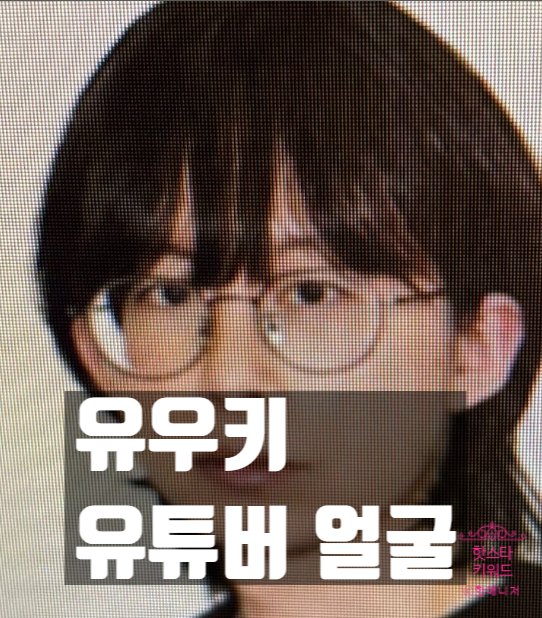  야한솜이, 유우키 성추행 무고 충격 폭로! 얼굴 공개 후 채널 삭제 진실