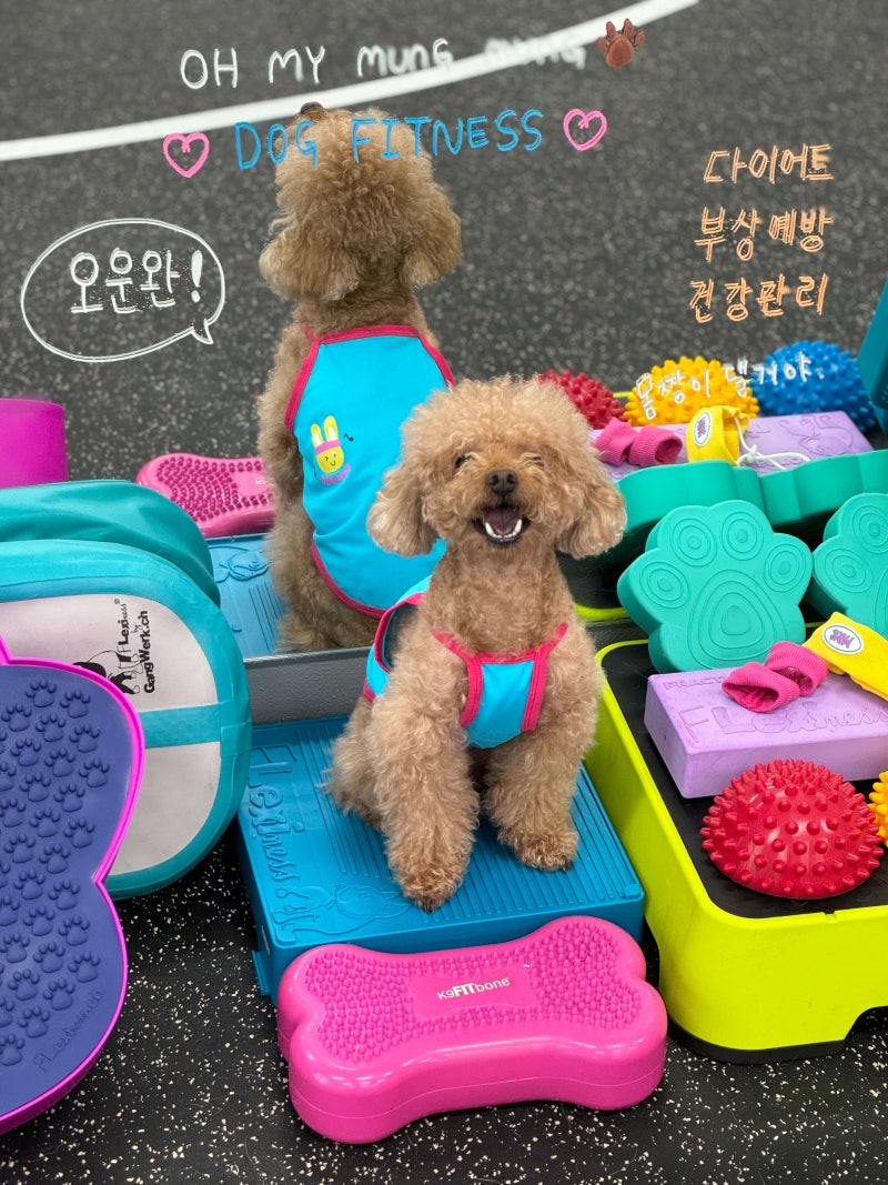 사진 2