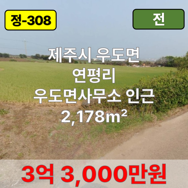  【매매】 제주시 우도면 연평리 우도면사무소 인근 토지 매매