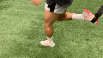 S&C)/황희찬트레이너/<b>황인범</b>트... 주재현트레이너/<b>축구선수</b>트... 