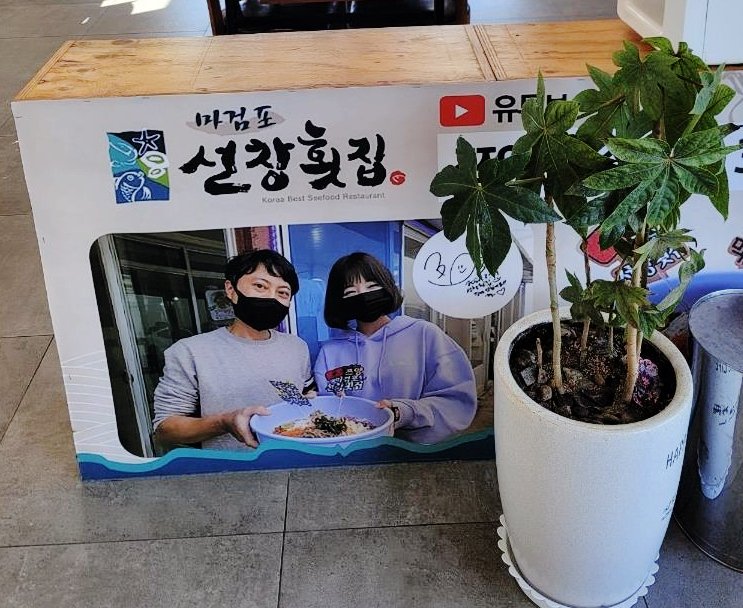  쯔양도 반한 태안횟집! 특허받은 갑오징어물회 원조 선창횟집