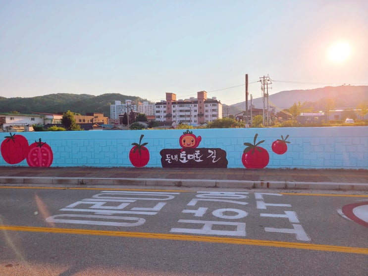  둔내 토마토길 옹벽 토마토벽화작업