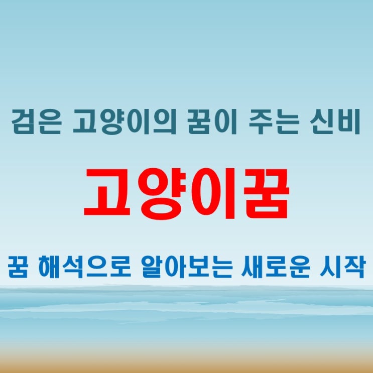  검은 고양이한테 물리는꿈 아기 고양이 나오는 태몽