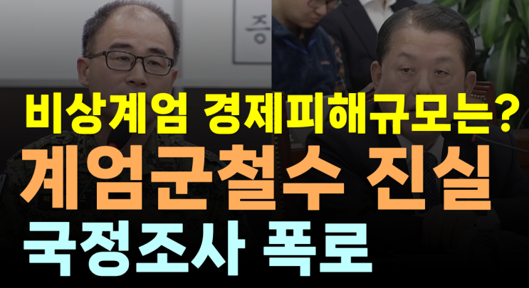 비상<b>계엄</b>과 금융시장 충격! 김병주 의원 질의에 대한 핵심 증언