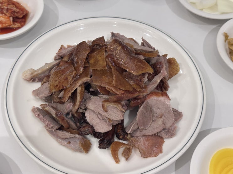  [서울/광화문] 베이징코야 내 돈 내산 후기 | 베이징덕 추천 | 주차정보